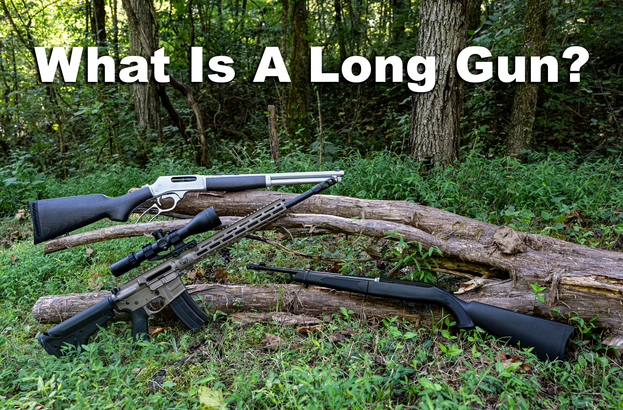 Long Gun