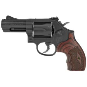 Smith Wesson 19