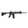 22lr Rifle