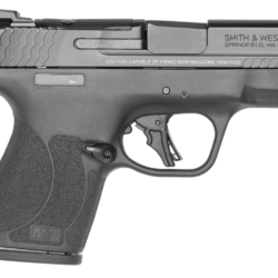 S And W Mp 40 Cal
